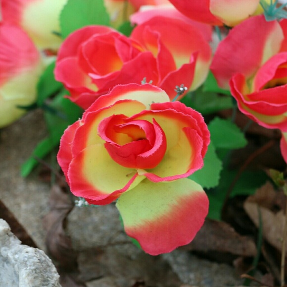 Meet your Posher, Jessica - Picture 2 of 2